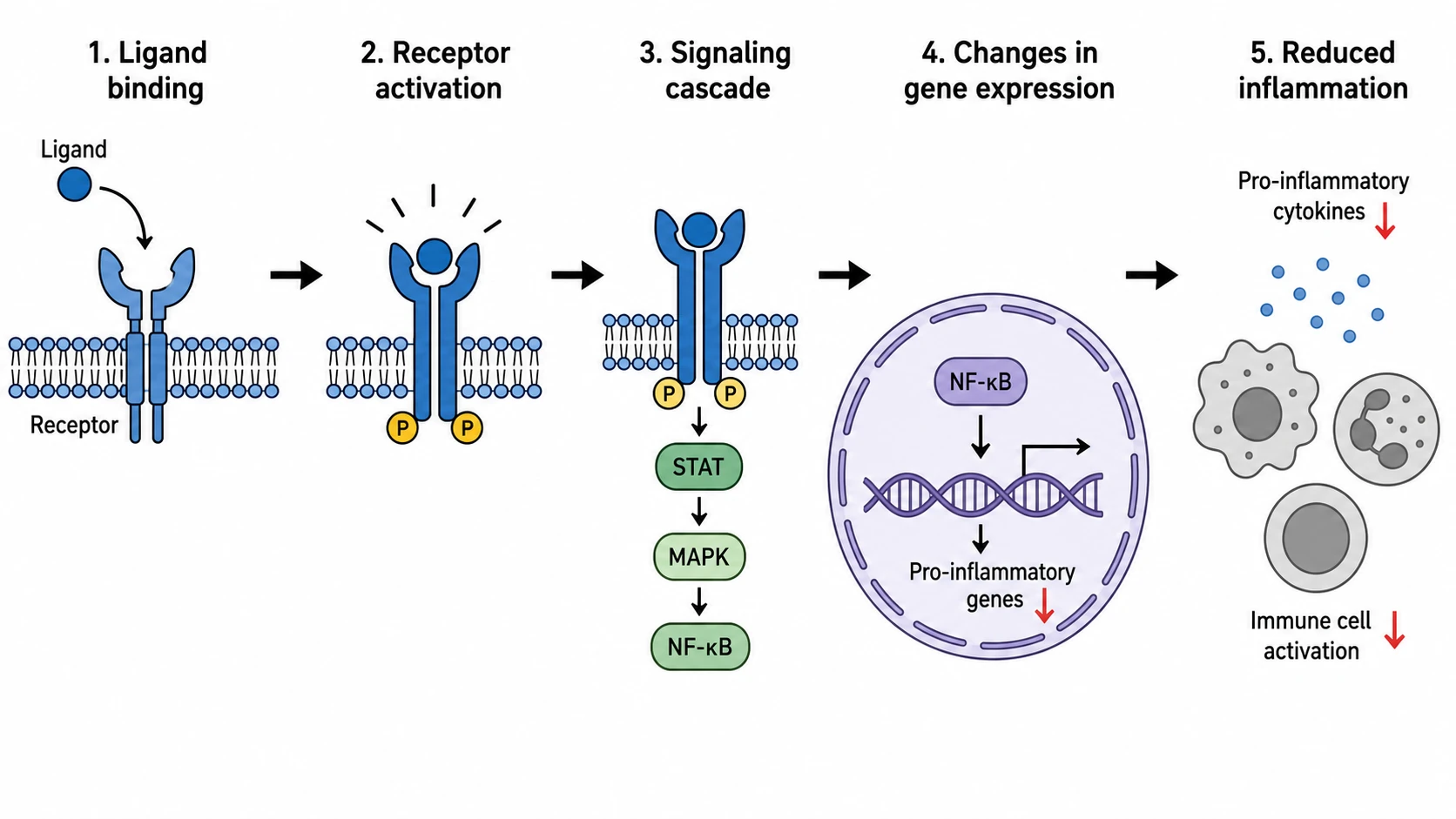 Graphical Abstract Maker